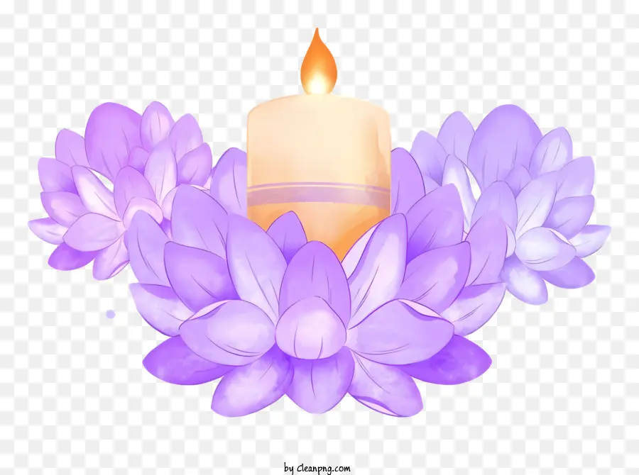 Bodhi Hari，Lilin Putih PNG