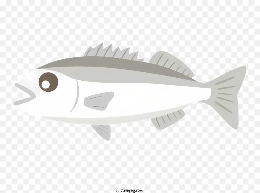 Ikan，Gigi PNG