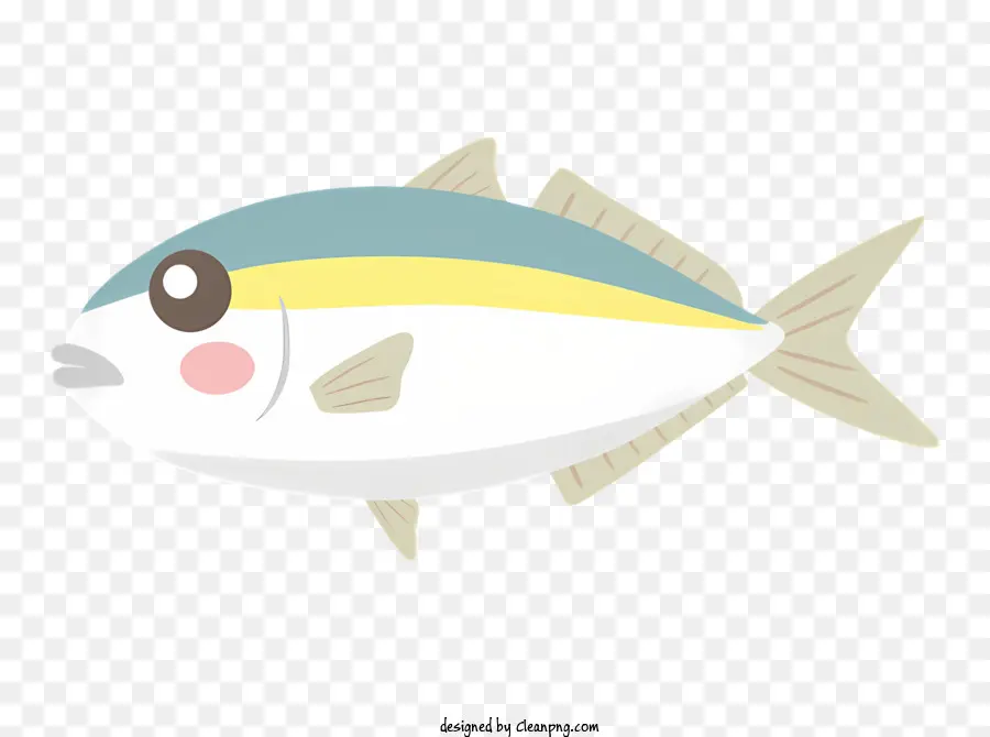 Ikan Ikan Kecil，Perut Putih PNG