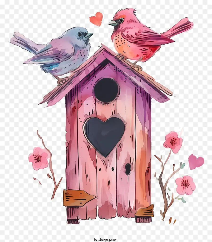 Rumah Burung Valentine Cat Air，Sangkar Burung Dengan Burung PNG