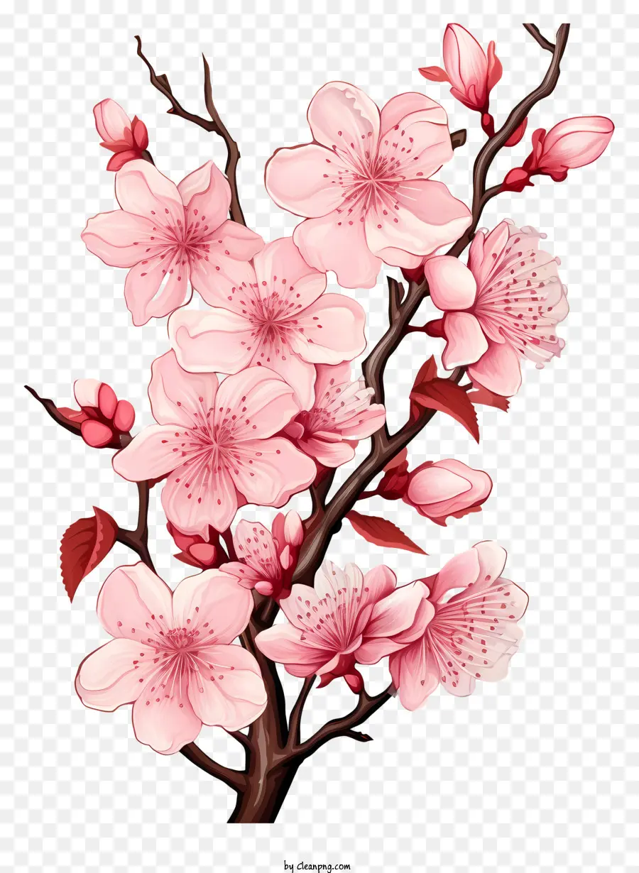 Doodle Style Cherry Branch Blossom，Pohon Sakura PNG