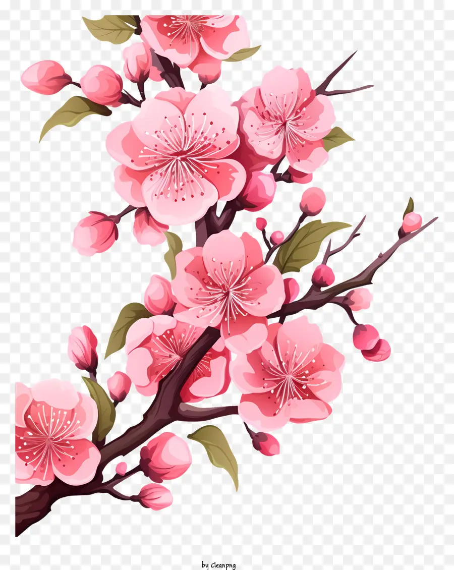 Cabang Dan Bunga Sakura，Sakura PNG