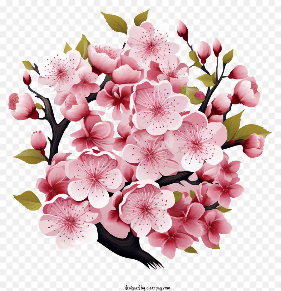 Bunga Cabang Ceri Pastel，Bunga Sakura PNG