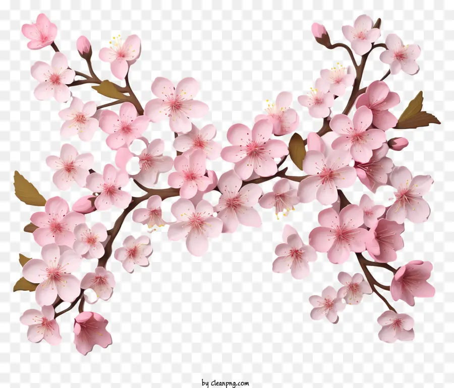 Kertas Kosong Dengan Bunga Sakura，Bunga Merah Muda PNG