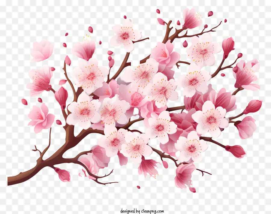 Bunga Cabang Ceri Gaya 3d Realistis，Sakura PNG