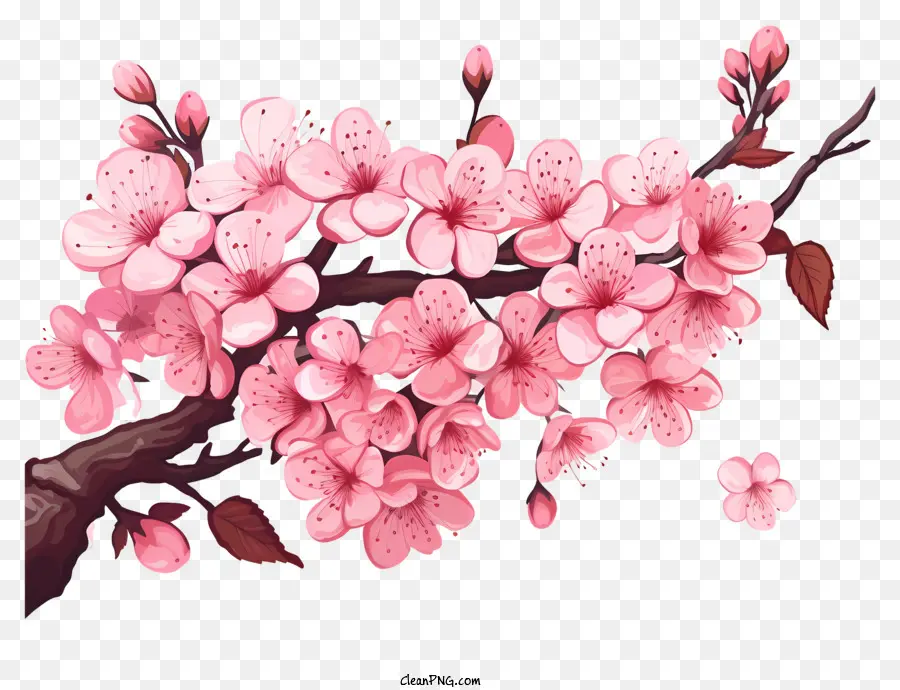 Bunga Cabang Ceri Gaya Realistis，Bunga Sakura PNG