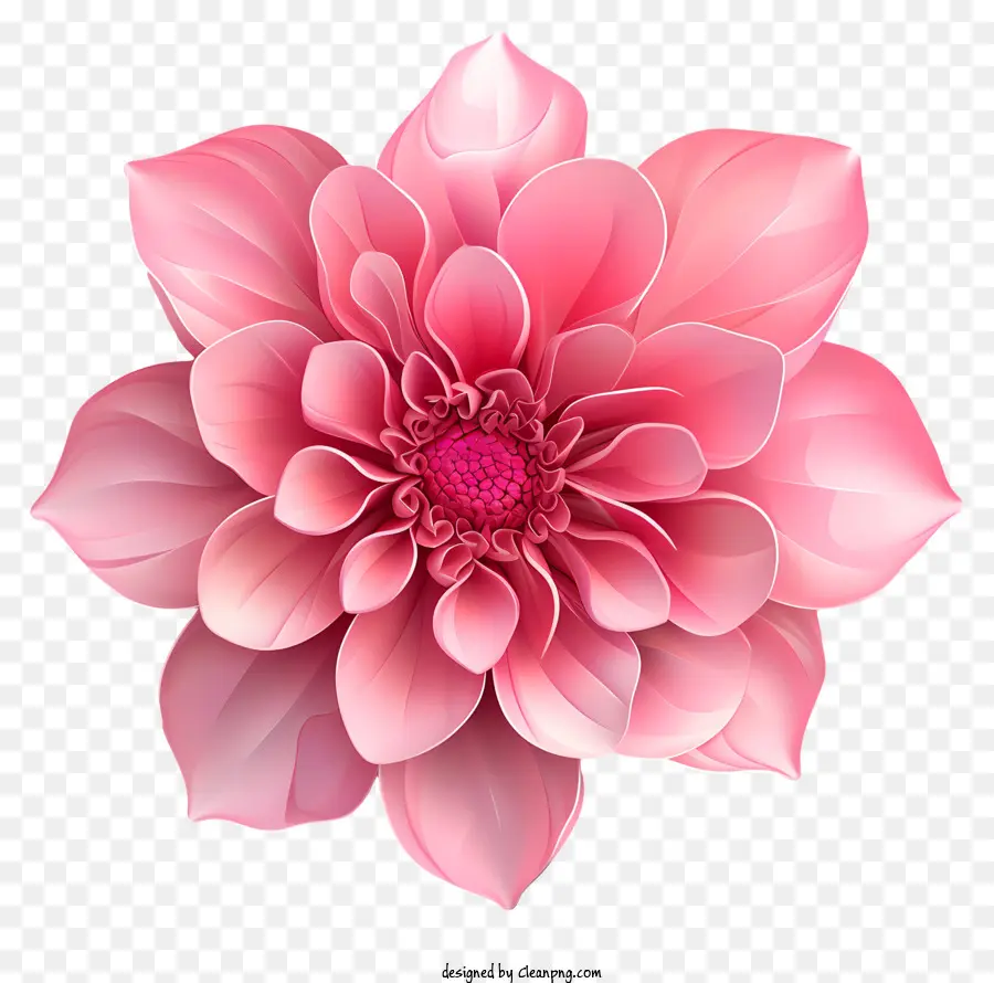 Bunga Merah Muda，Bunga Adonan Merah Muda PNG
