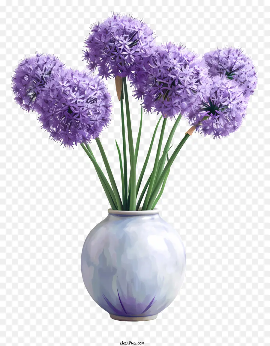 Allium Giganteum，Bunga Ungu PNG