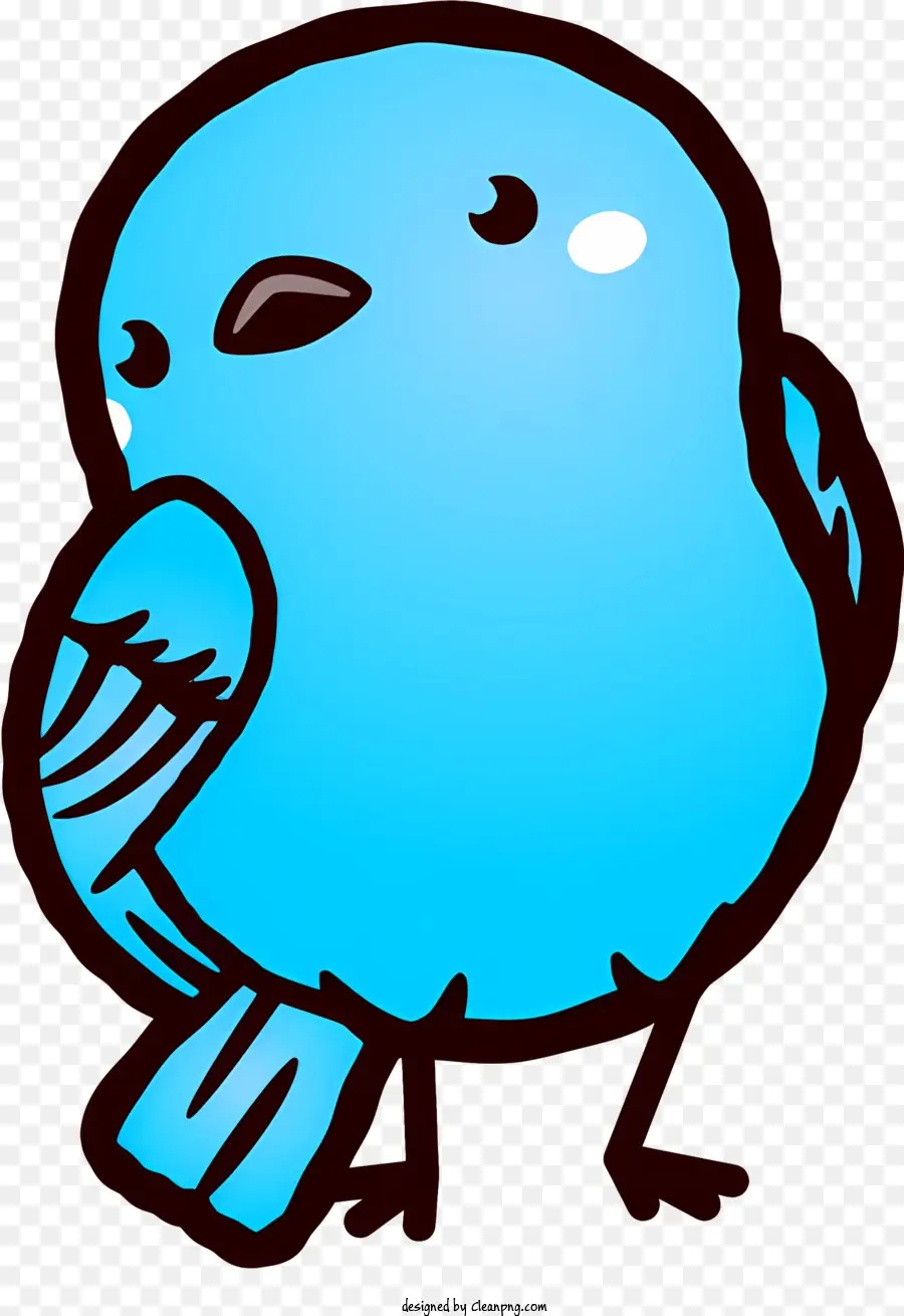 Burung Biru，Burung Dengan Underbelly Putih PNG