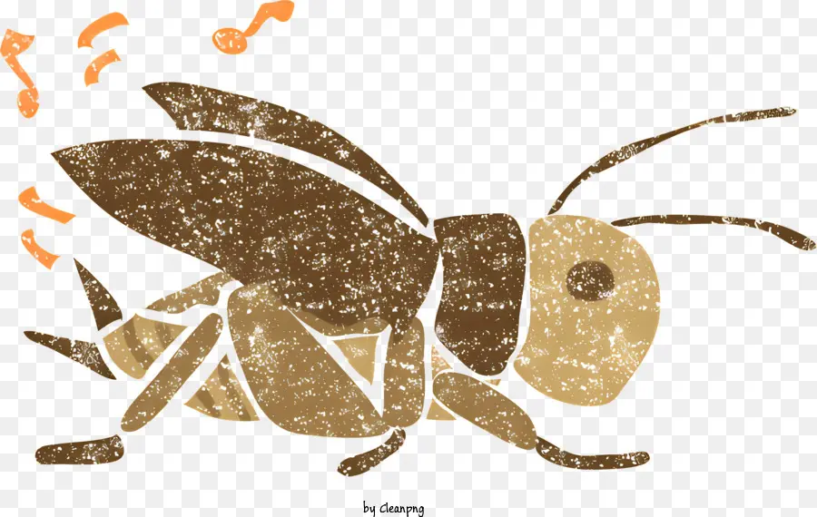 Lebah，Terbang Lebah PNG