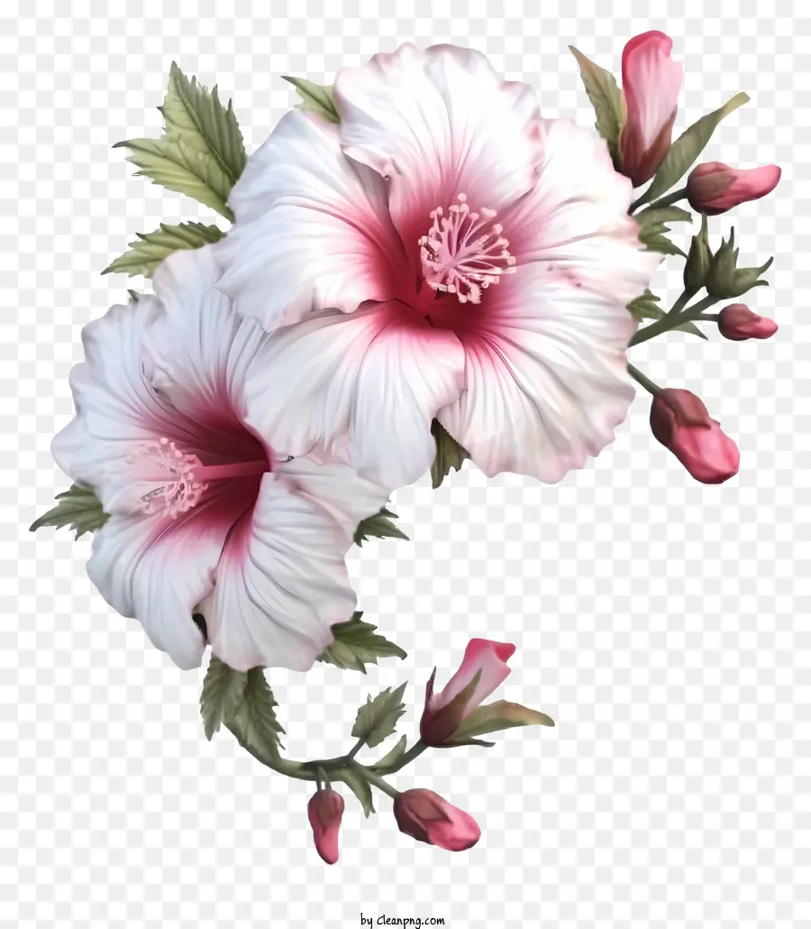 Mawar 3d Realistis Sharon，Bunga Hibiscus Pink PNG