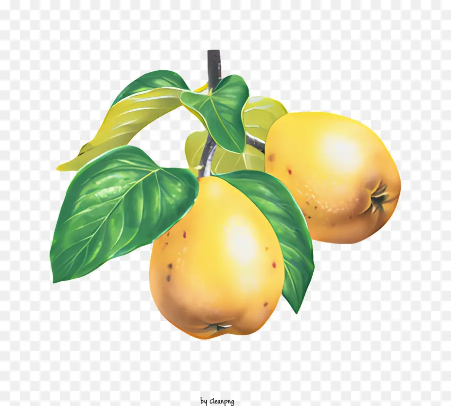 Buah，Lemon PNG