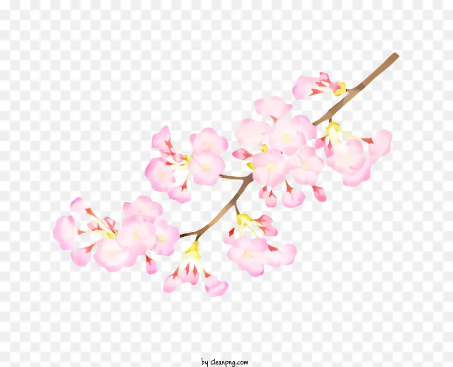 Bunga，Bunga Sakura PNG