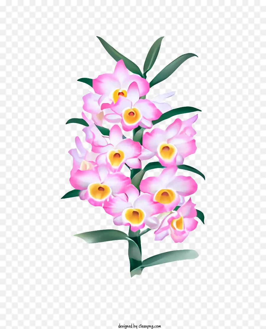 Bunga，Merah Muda Dan Putih Bunga PNG