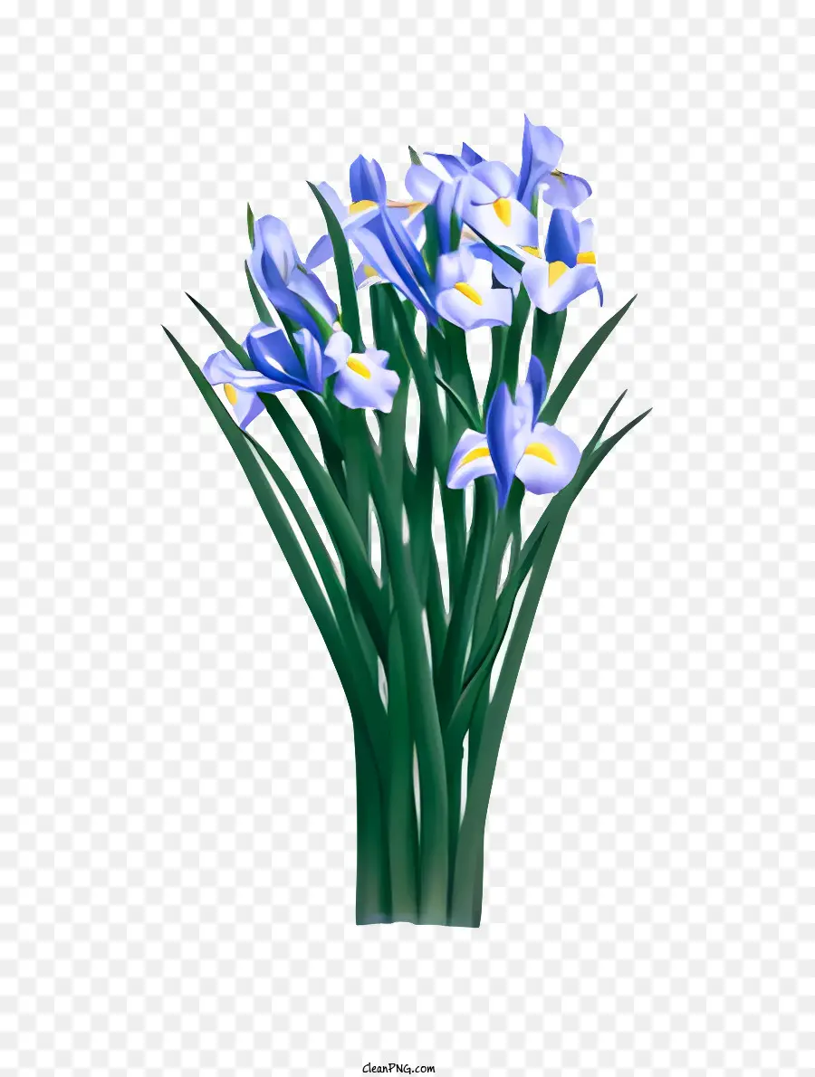 Bunga，Bunga Iris PNG