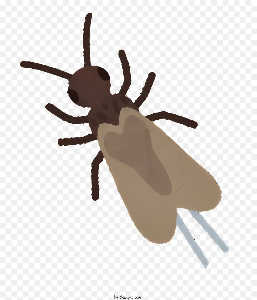 Bug，Serangga Kecil PNG