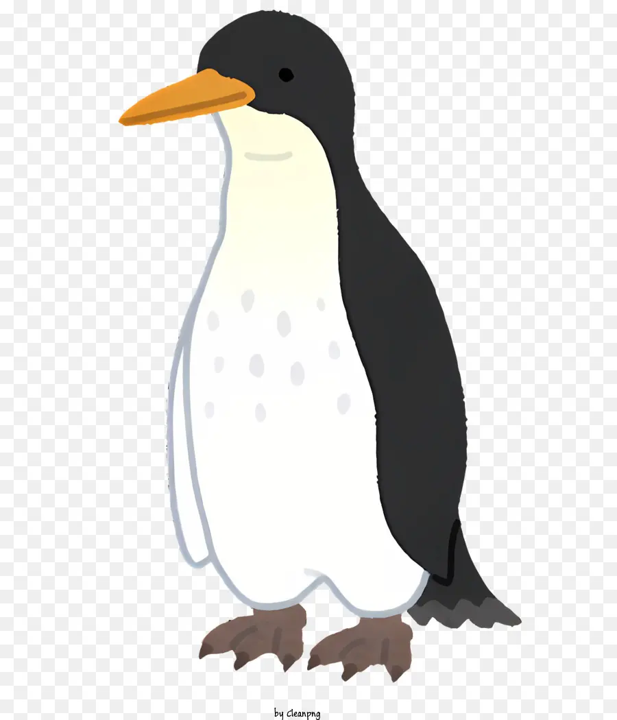 Penguin，Hitam Dan Putih Penguin PNG