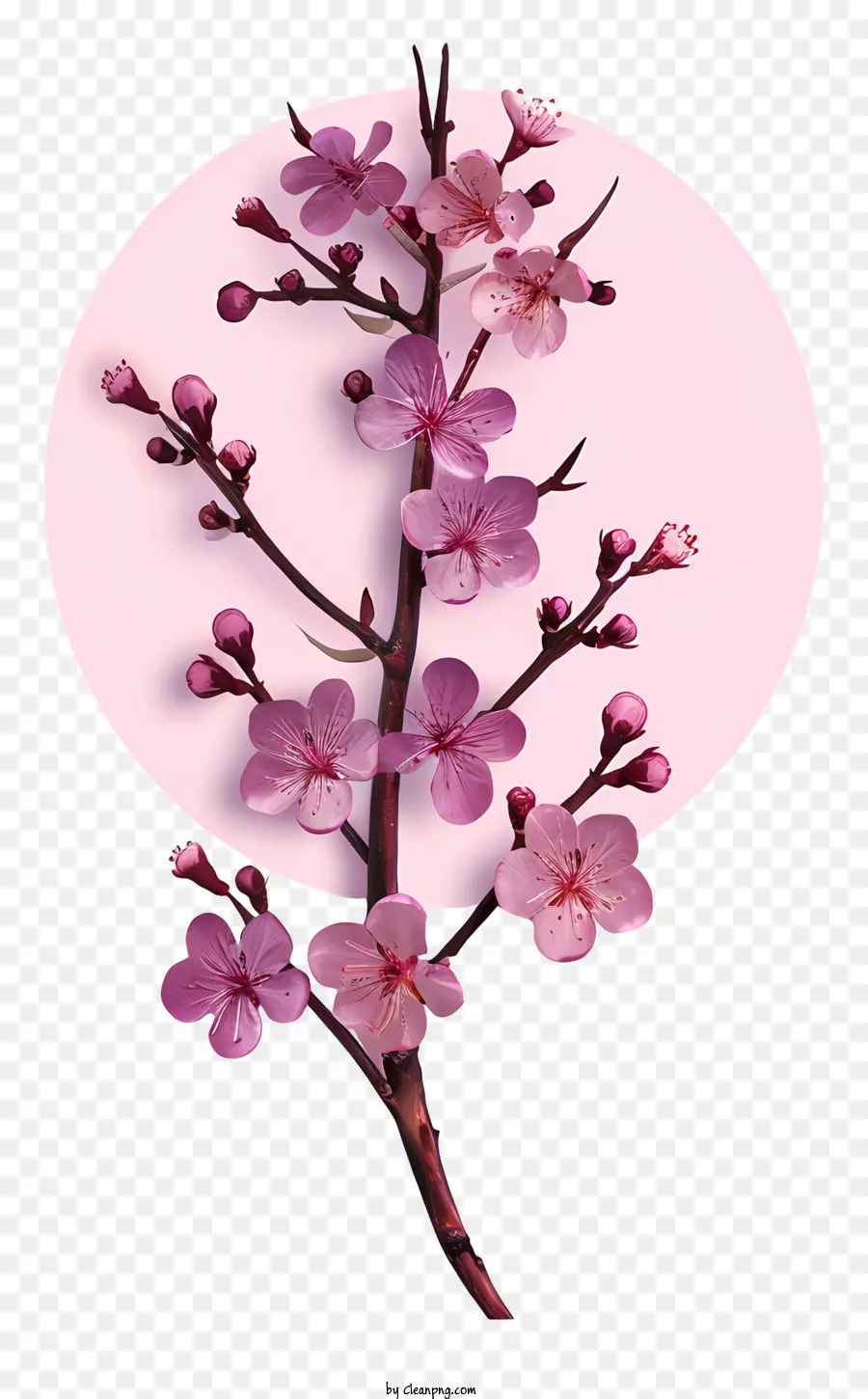 Dalam Gaya Ilustrasi Hiperrealistis，Bunga Sakura PNG