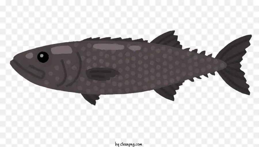 Ikan，Hewan Akuatik PNG