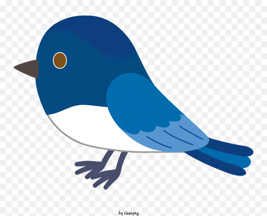 Burung，Burung Biru PNG