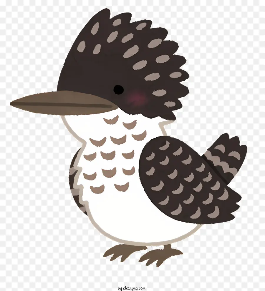 Burung，Burung Kecil PNG