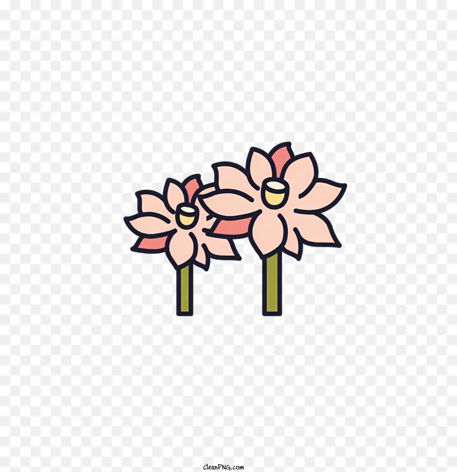 Bunga Teratai，Pink Lotus PNG