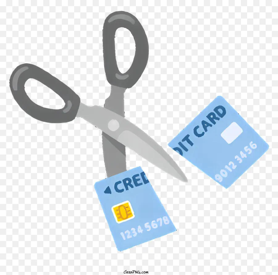Kartu Kredit，Skor Kredit PNG