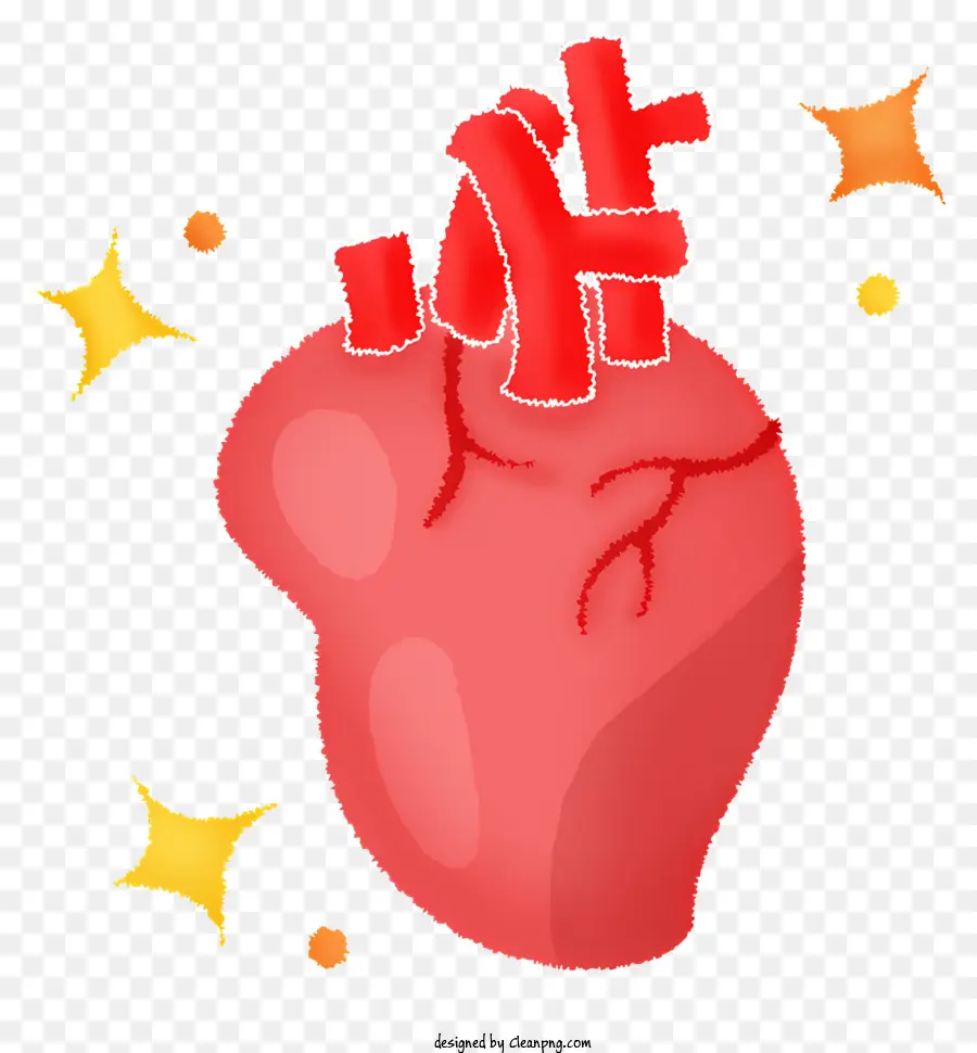 Organ Jantung，Kesehatan Jantung PNG