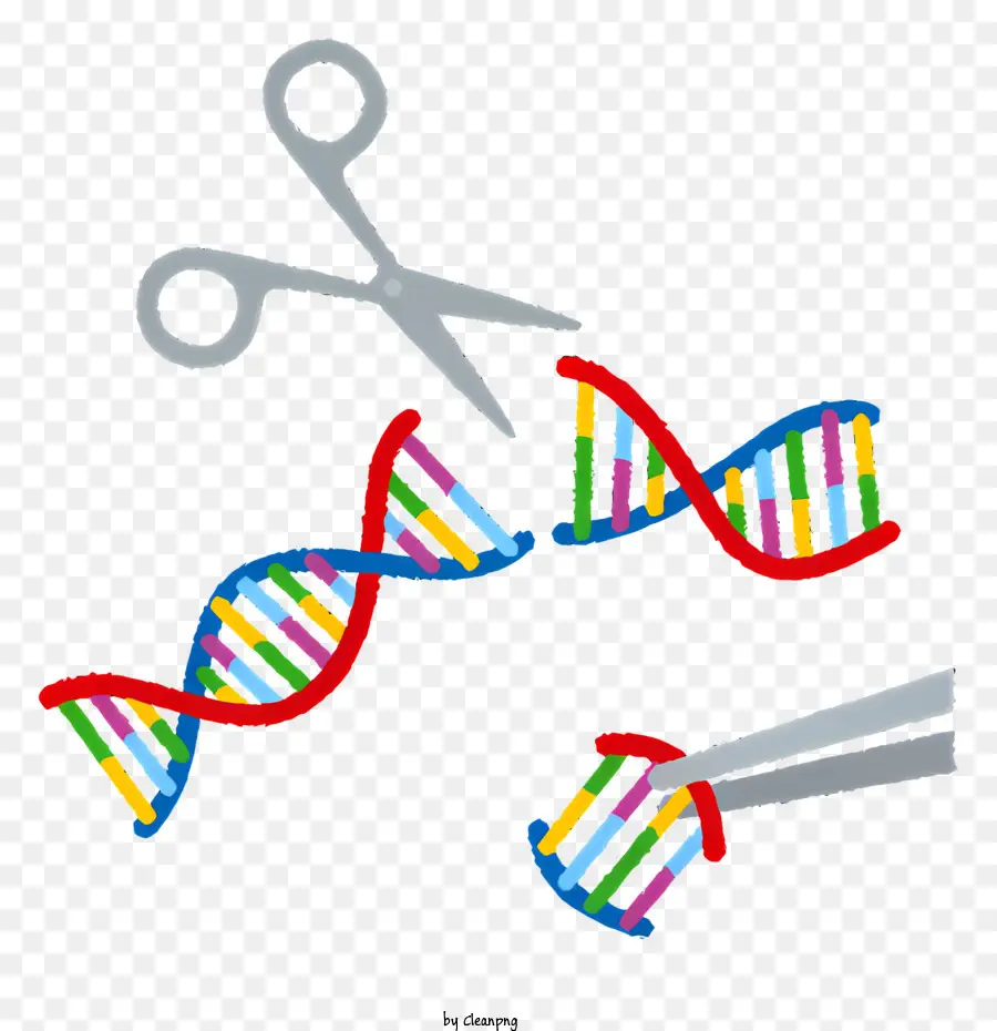 Medis，Pengeditan Dna PNG