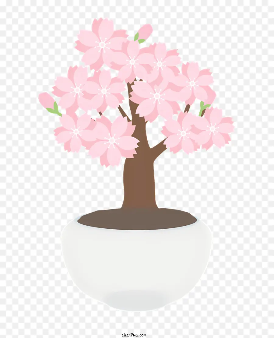 Pohon Sakura，Bunga Mekar Merah Muda PNG