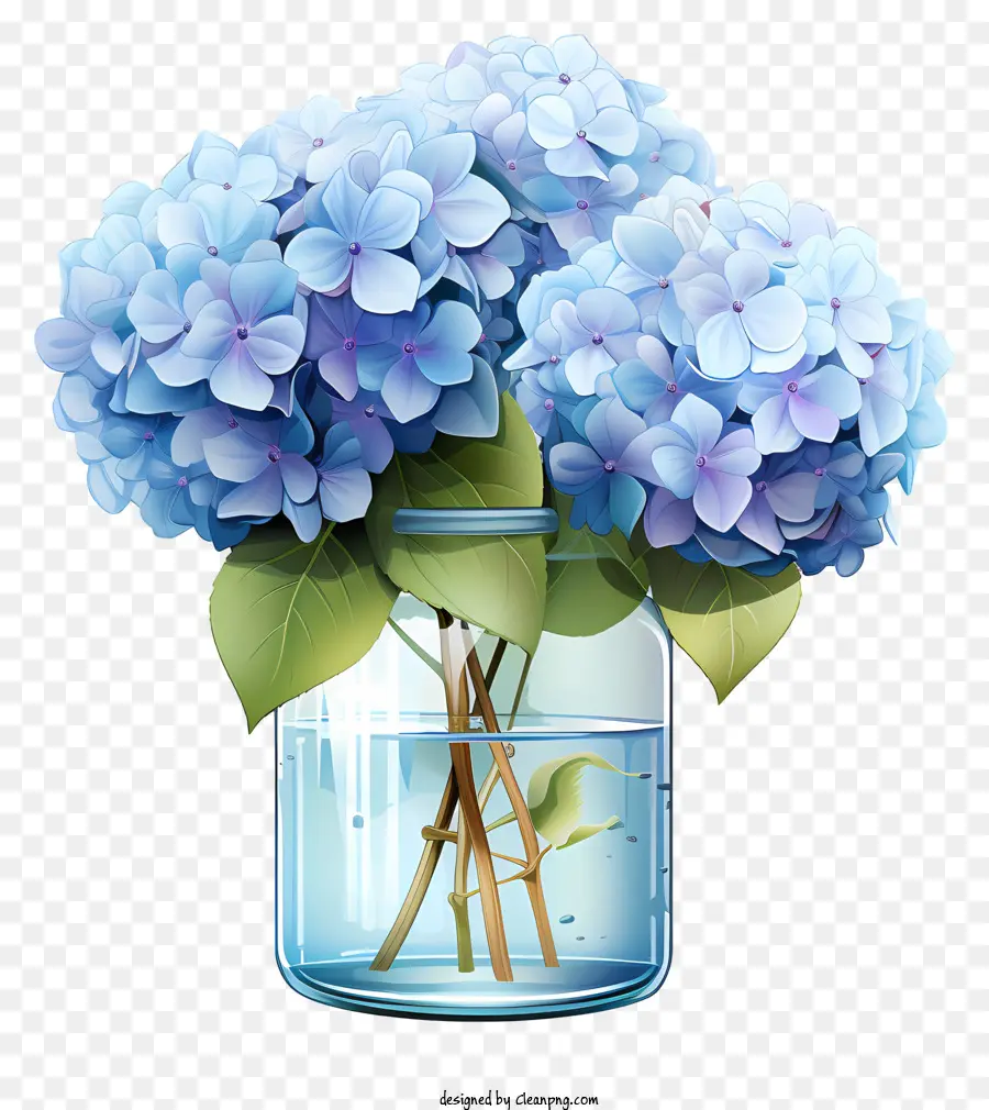Hydrangea Datar Dalam Toples，Bunga Bunga Biru PNG