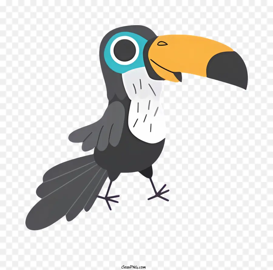 Burung Beo，Burung Toucan PNG