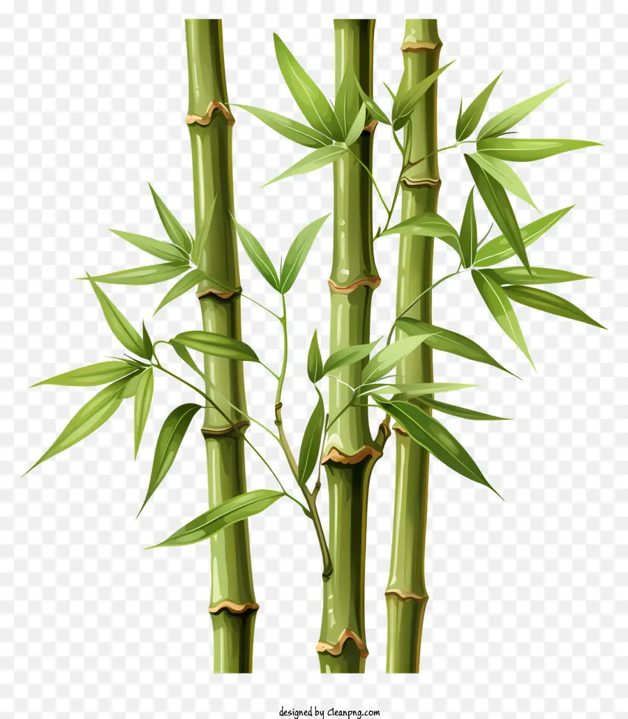 Batang Bambu Yang Digambar Tangan，Tanaman Bambu PNG