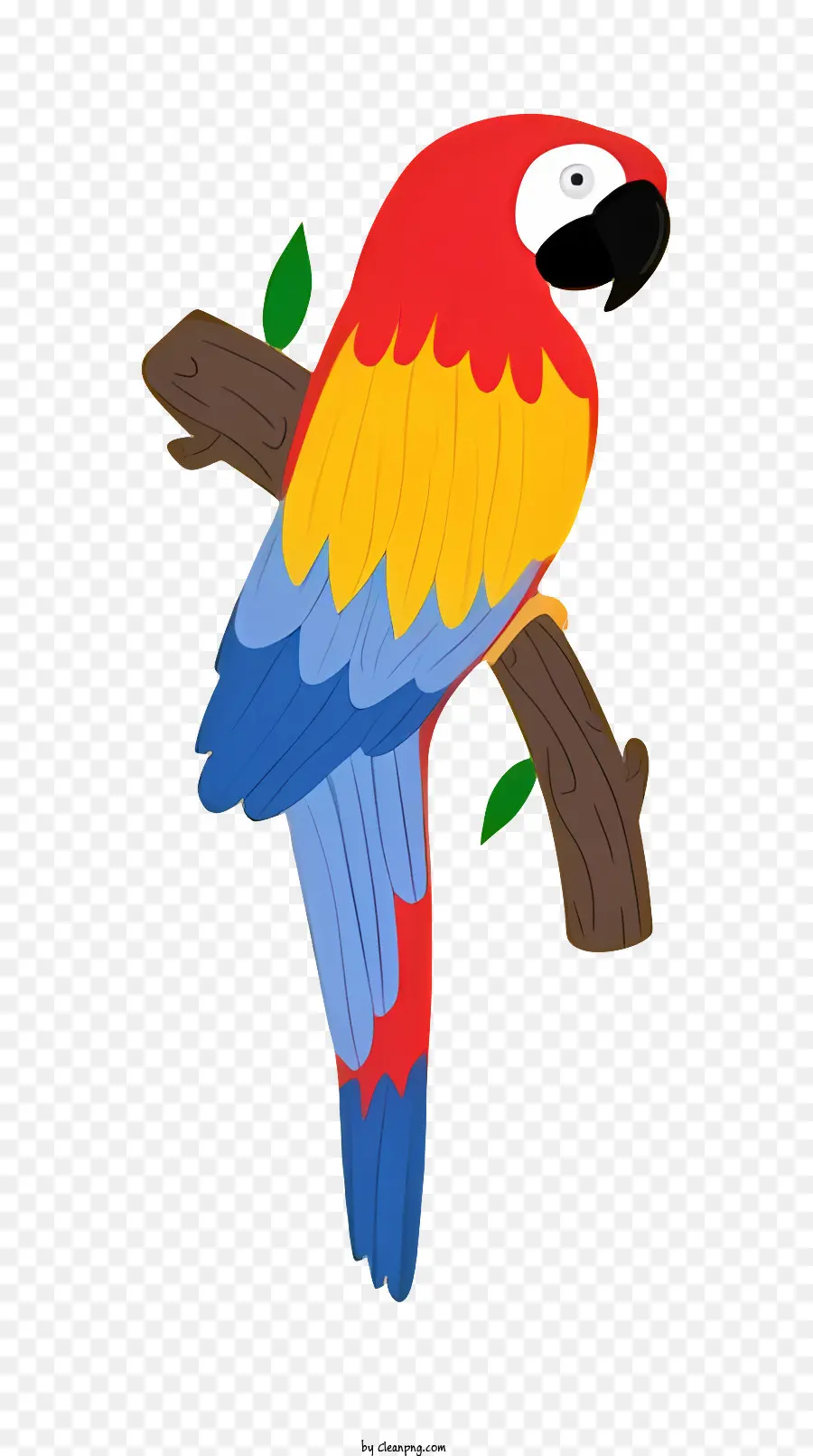 Burung Beo，Kartun PNG