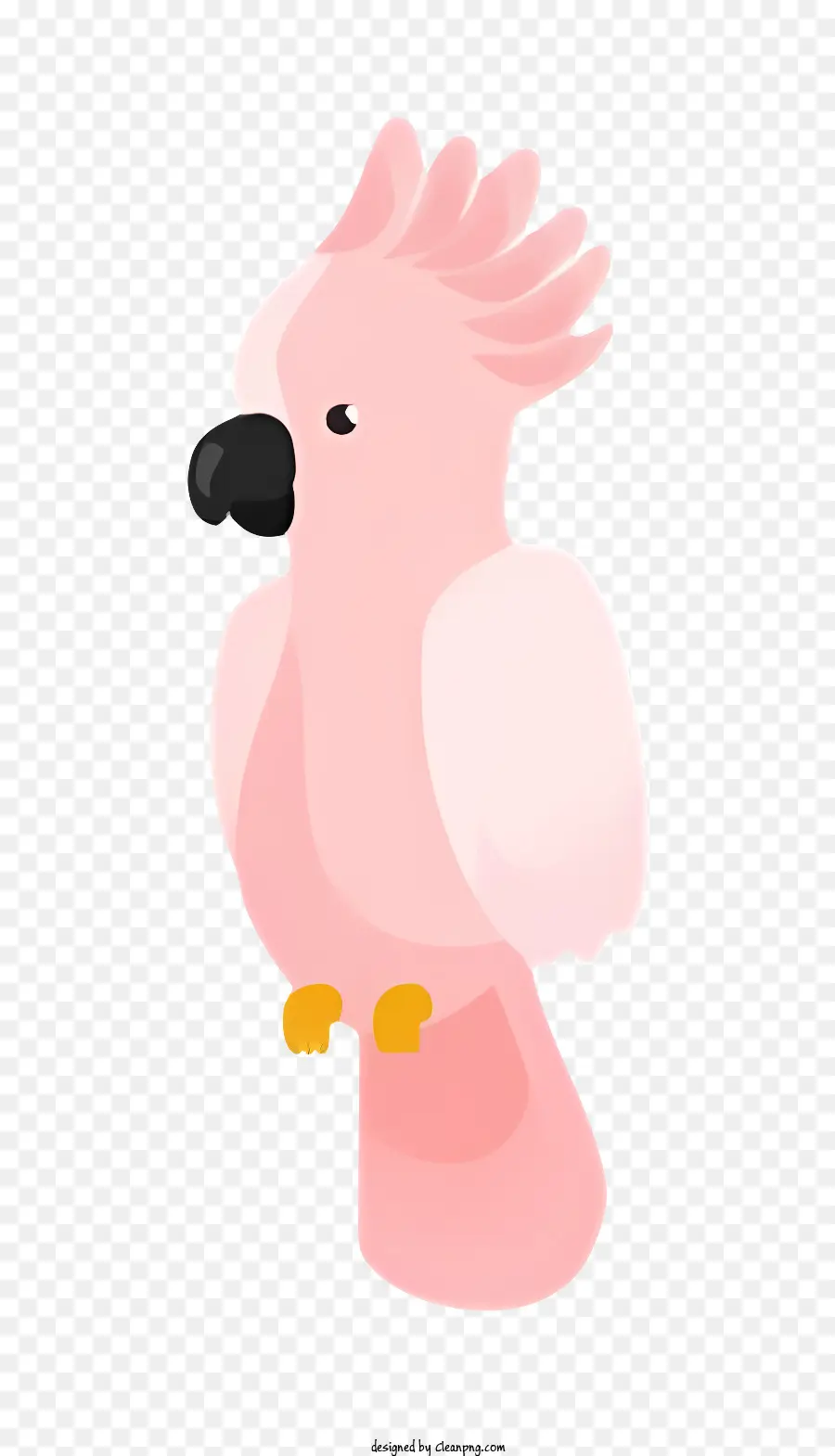 Burung Beo，Pink Burung Beo PNG