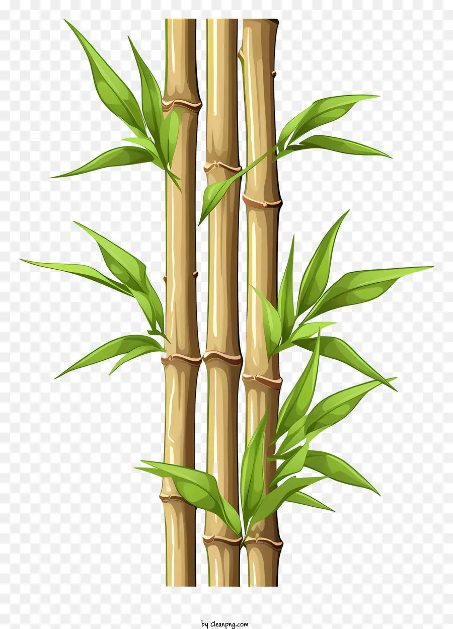 Batang Bambu Gaya Doodle，Bambu PNG