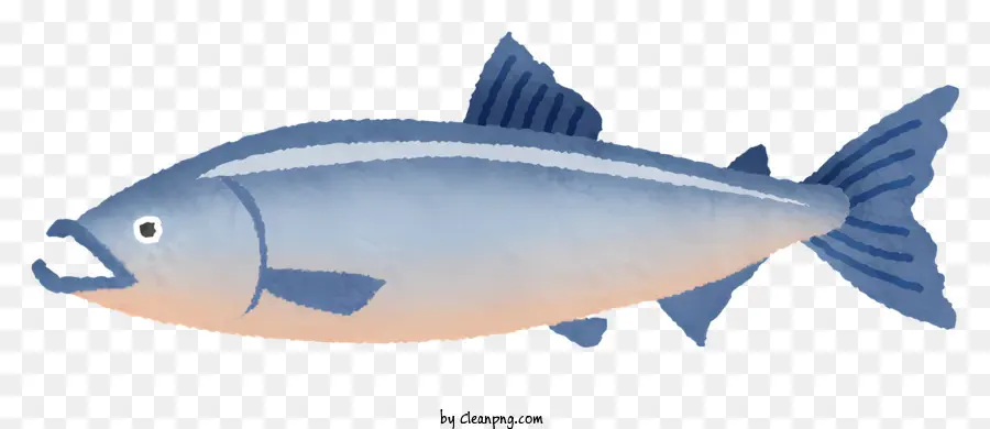 Ikan，Ikan Air Asin PNG