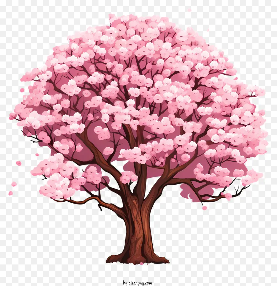 Pohon Bunga Sakura Gaya Doodle，Bunga Merah Muda PNG