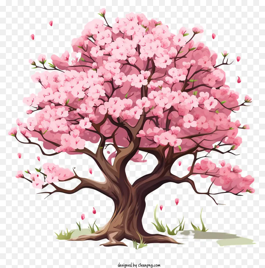 Pohon Bunga Sakura Gaya Doodle，Pohon Ceri Merah Muda PNG