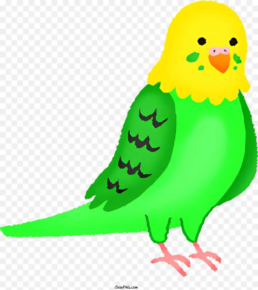 Clipart，Burung Beo Hijau PNG