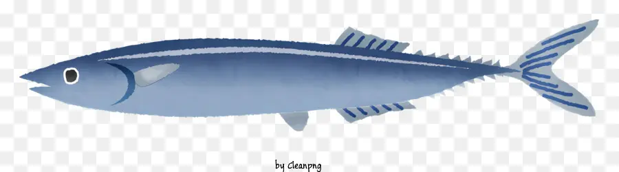 Clipart，Ikan PNG