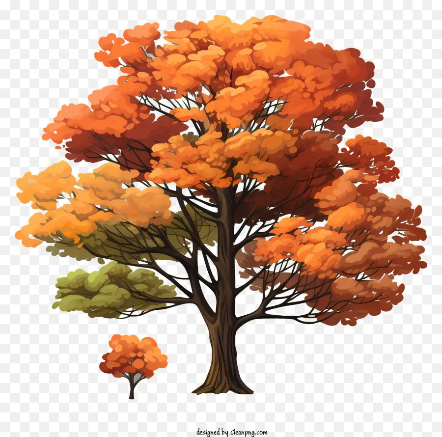 Sketch Style Autumn Tree，Pohon Besar PNG