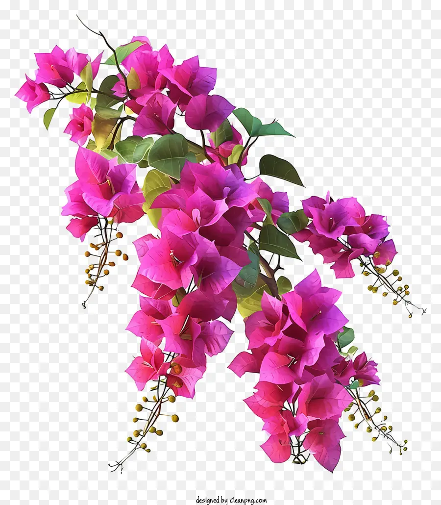 Bougainvillea 3d Yang Realistis，Bunga Merah Muda PNG