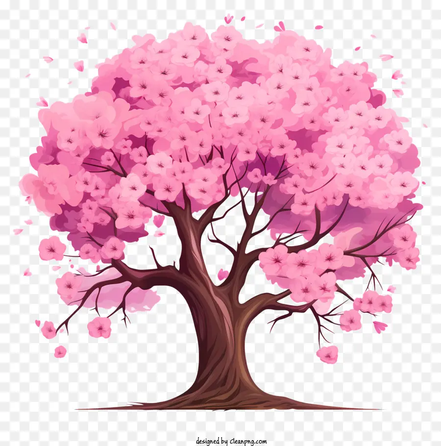 Sketsa Gaya Pohon Bunga Sakura，Pohon Sakura PNG