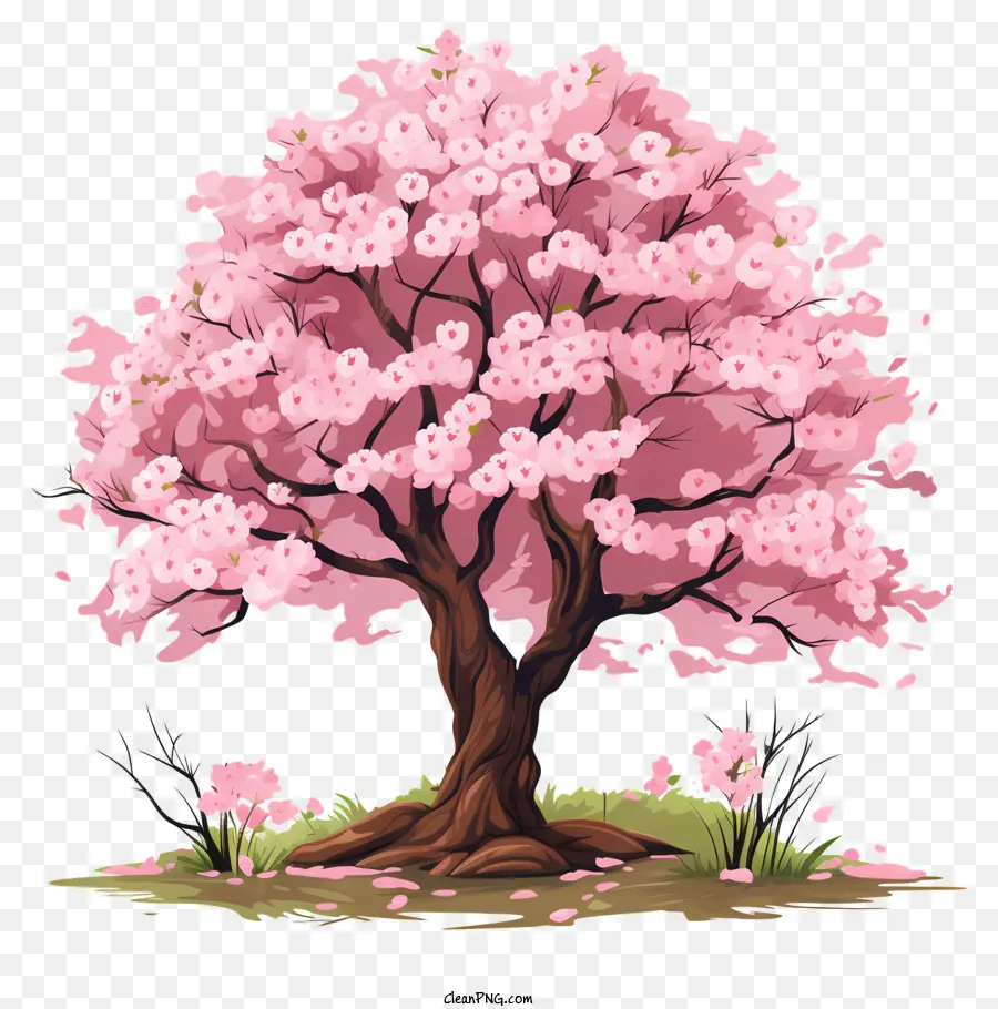 Pohon Bunga Sakura Gaya Doodle，Sakura PNG