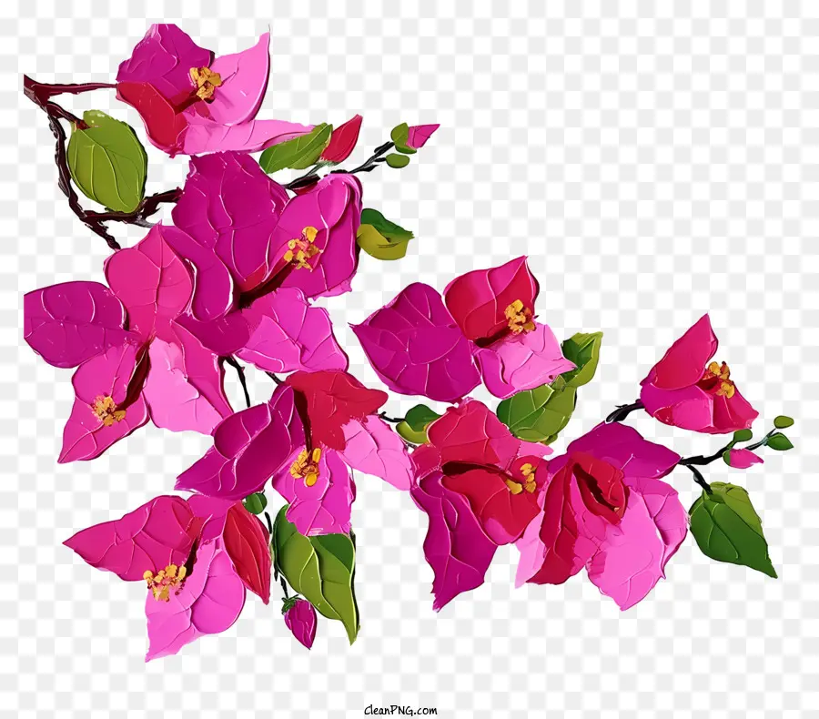 Lukisan Bougainvillea，Bunga Merah Muda PNG