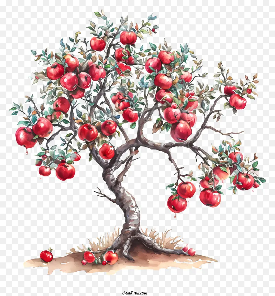Pohon Dengan Apel，Apel Merah Di Pohon PNG