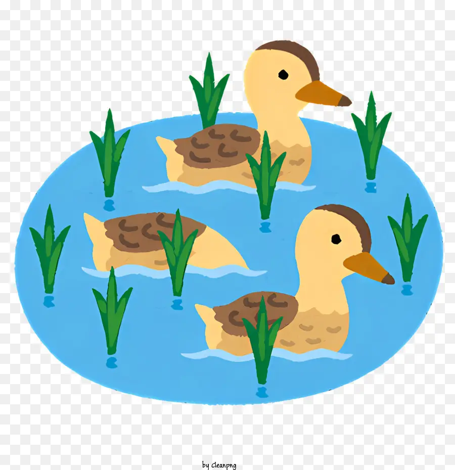 Clipart，Bebek Di Kolam PNG