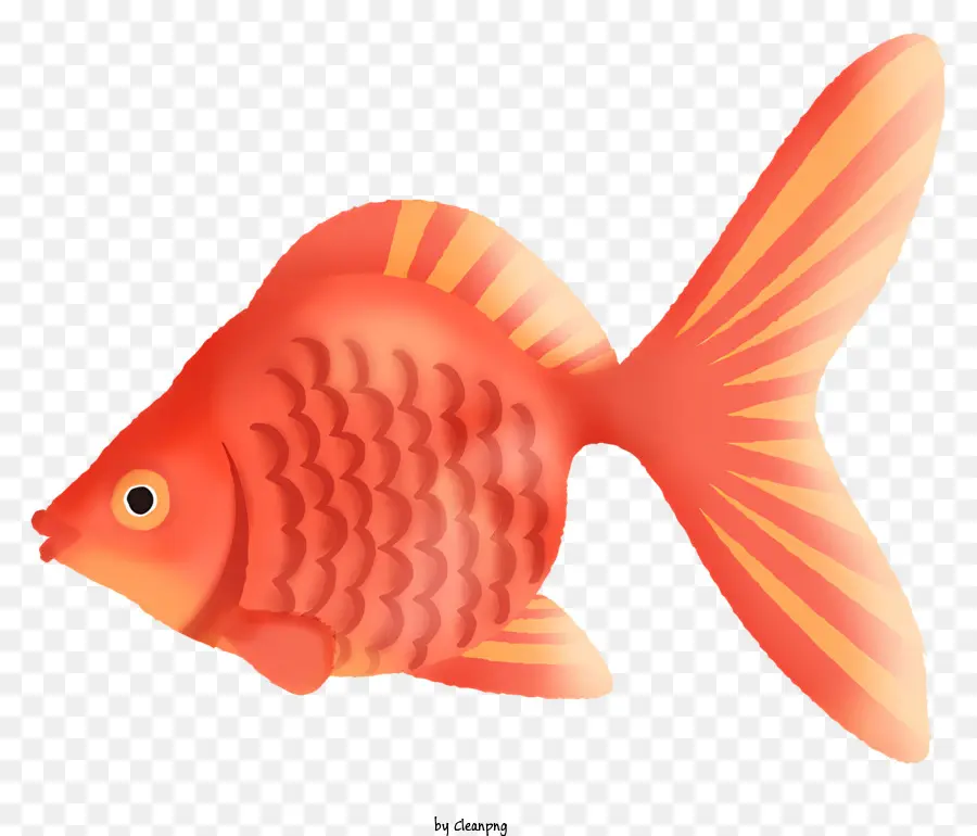 Clipart，Ikan Hitam PNG