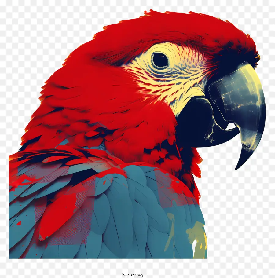 Burung Beo，Burung Beo Merah Dan Biru PNG
